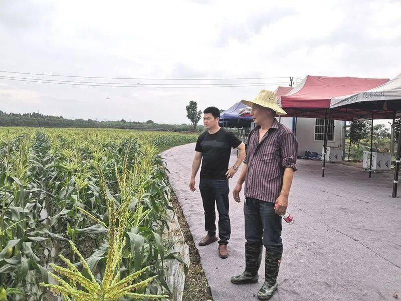 江西巡视组最新动态及自然美景之旅，探寻内心平和与宁静的旅程