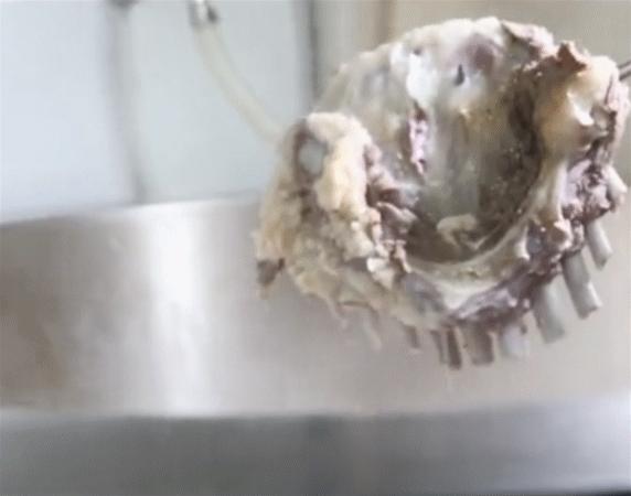 伏天记笔趣阁最新章节深度分析与观点阐述