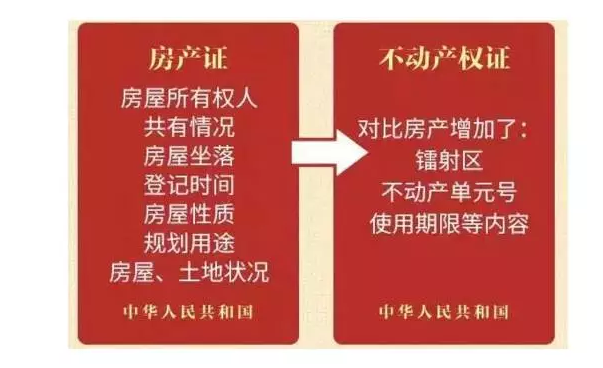 今日关注最新一期内容步骤指南详解