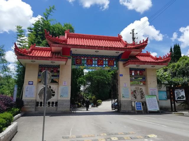 阿诗玛最新动态，学习变化，自信成就，一路向未来新篇章