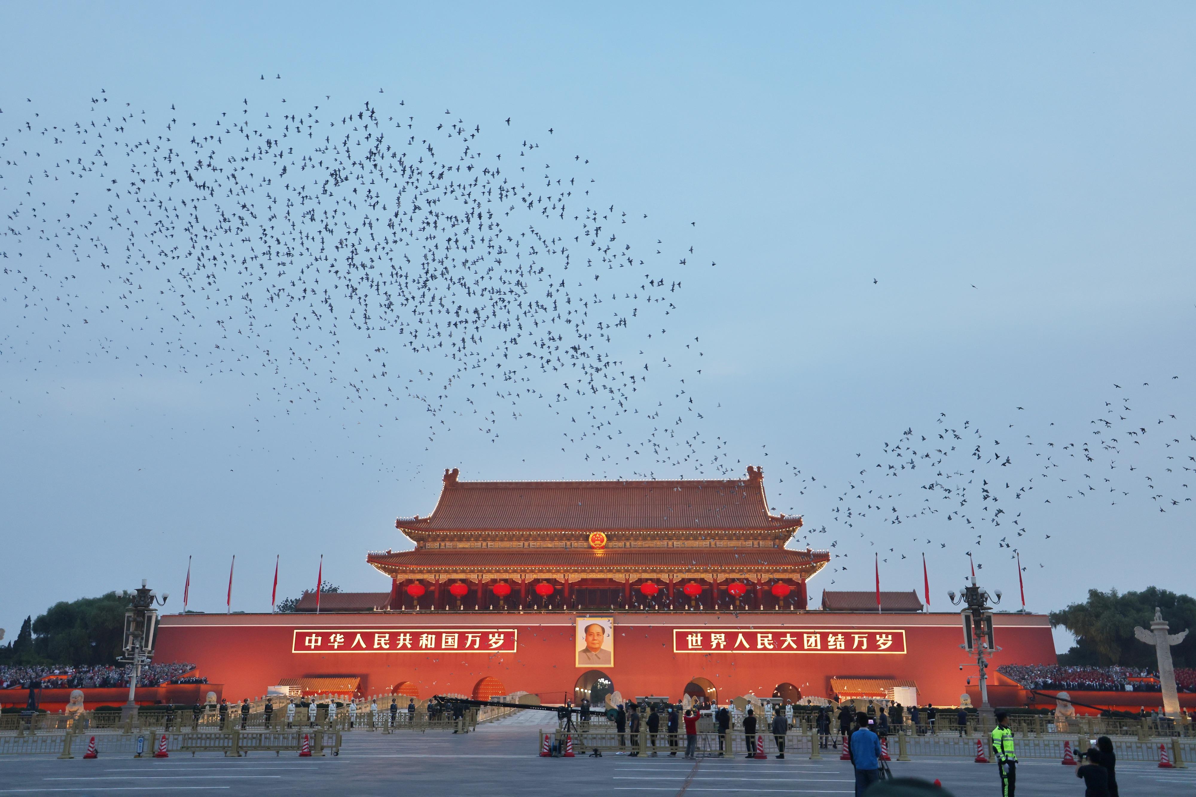 最新美口令唤醒潜能，自信翱翔的力量