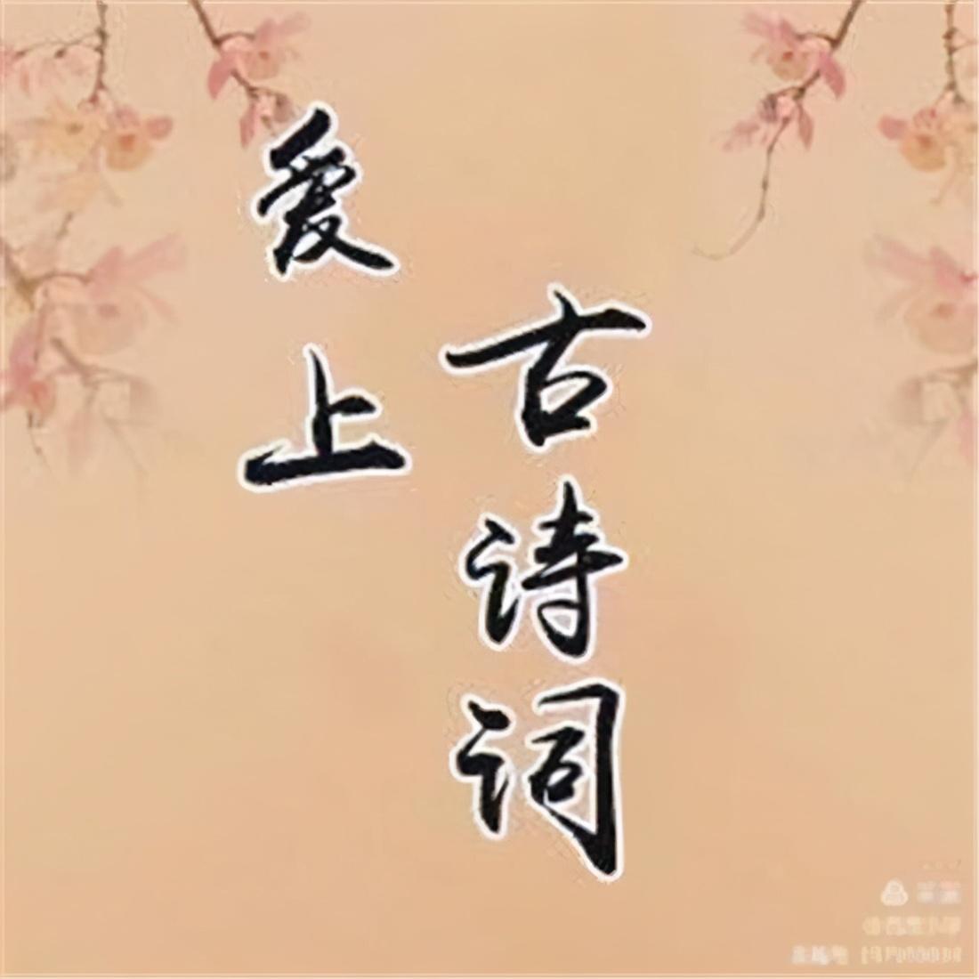 探秘小巷中的iOS最新技术圣地，隐藏式技术小店揭秘最新iOS技术
