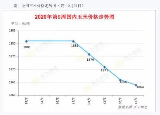 玉米最新价格与走势详解，全面步骤指南及最新动态分析