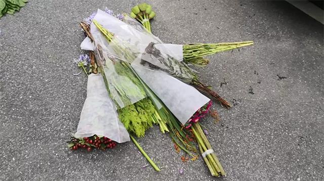 八角最新行情深度解析，市场影响及观点阐述