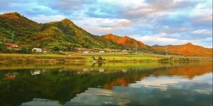 最新电影在线免费观看与自然美景探索之旅的双重体验