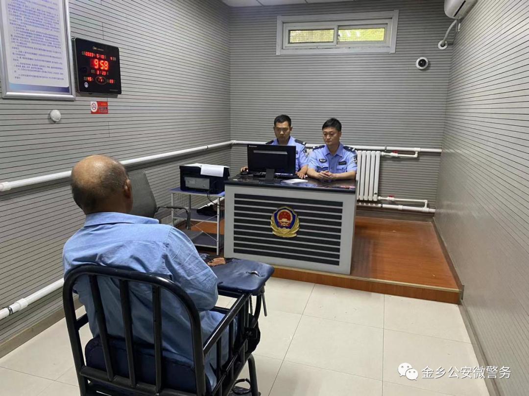 金乡大蒜最新价格行情，与自然美景的对话之旅