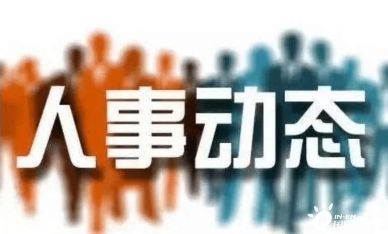 凉山州最新人事任免，解读与观点阐述
