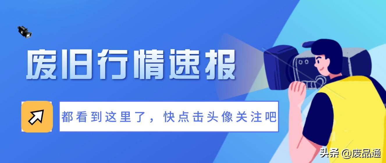 广东废纸价格最新动态，市场行情概览