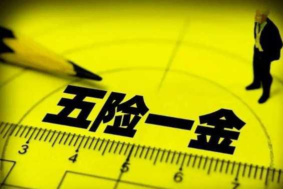 钨最新消息揭秘，温馨一天中的新动态