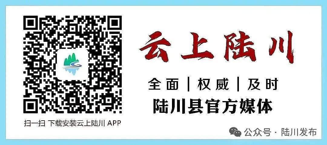 最新陆川新闻全攻略，获取与阅读指南（初学者到进阶用户）