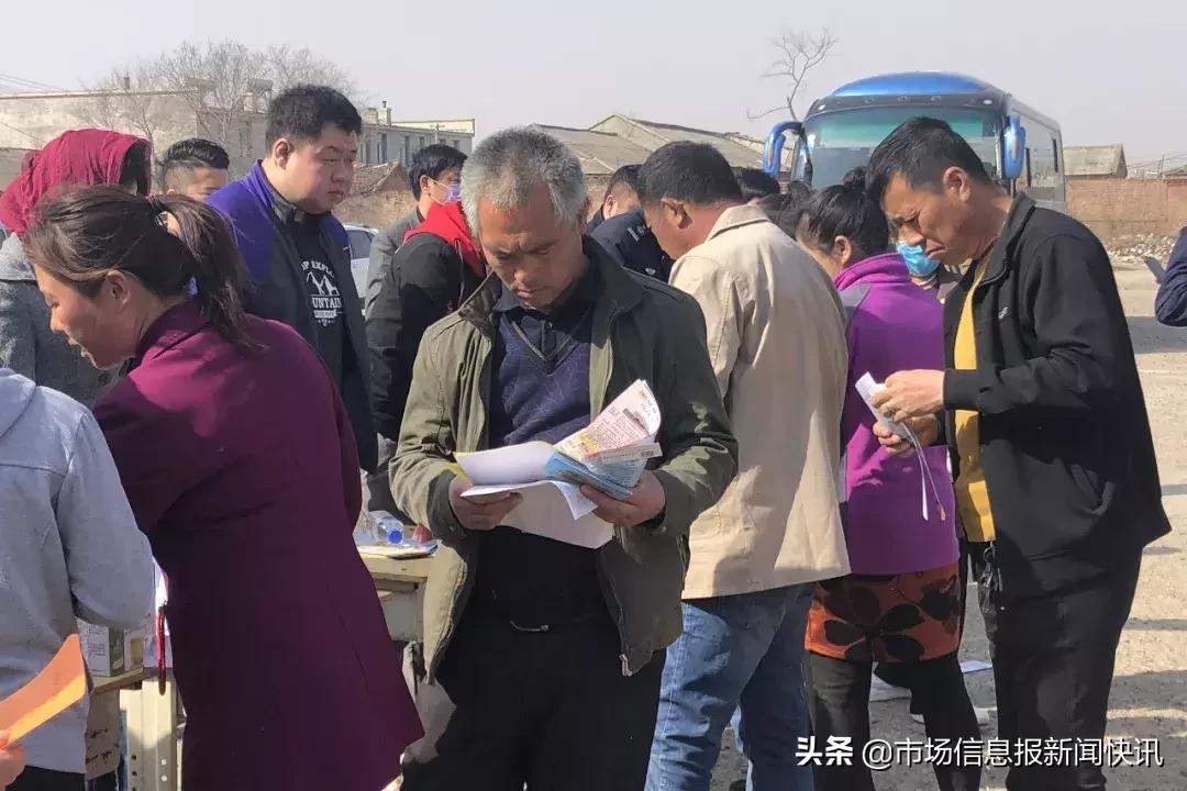 德惠市招聘信息最新动态速递🚀📢