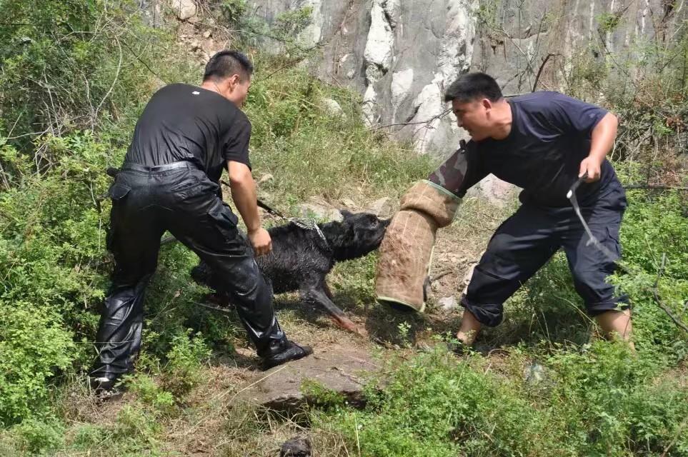 一带一路最新动态，变化中的学习之旅，自信与成就感的源泉