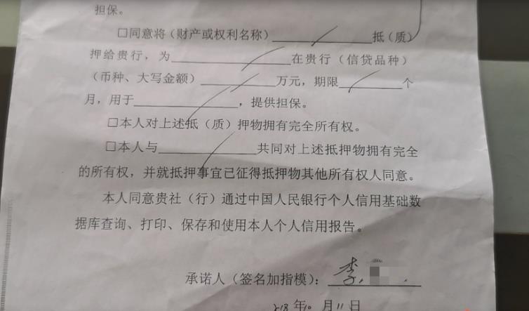 平顶山投资担保公司最新动态及担保服务获取与利用指南，初学者与进阶用户必读
