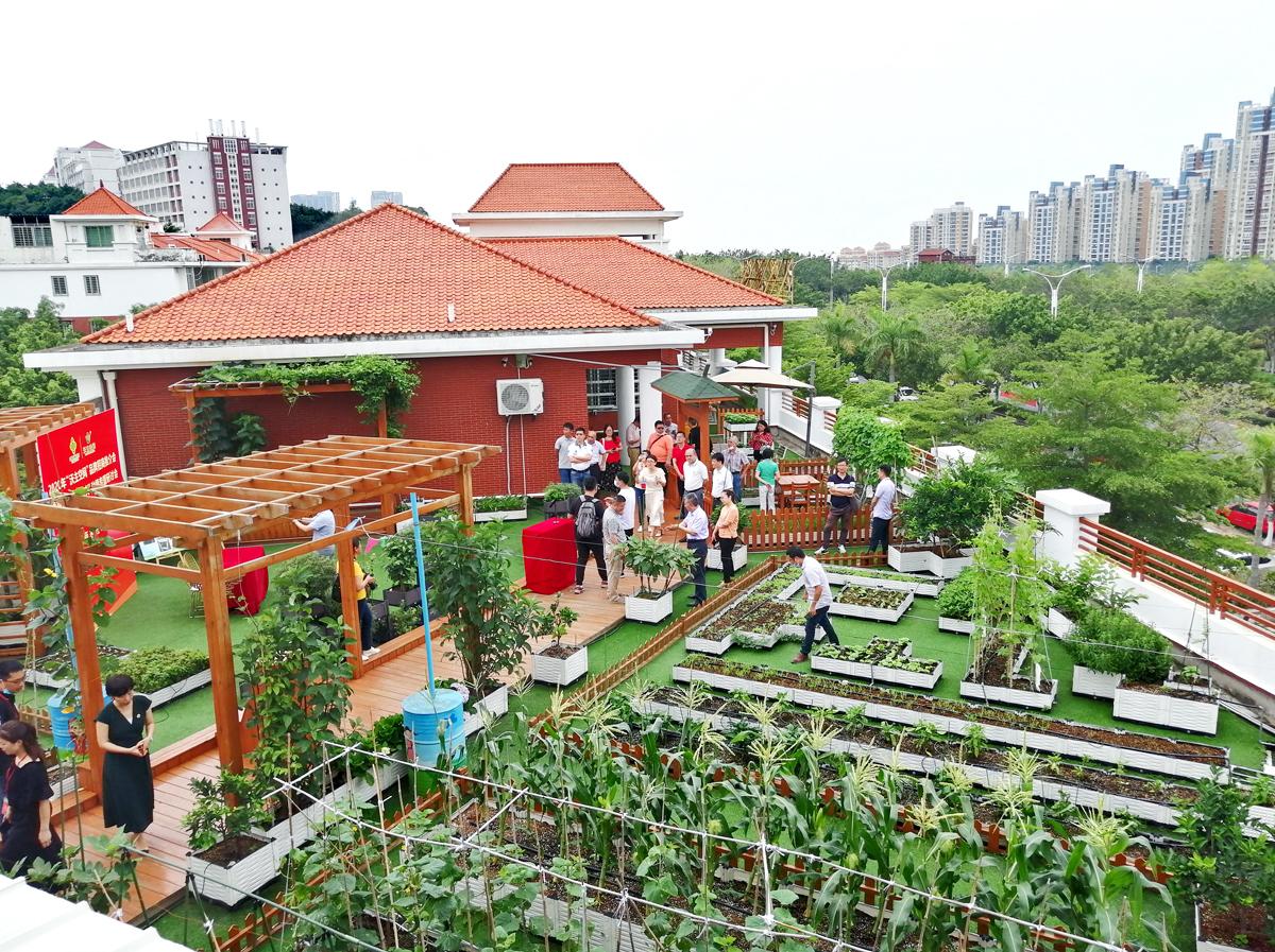 2020年阳台最新装修效果图片,2020年阳台最新装修效果图片——科技与生活的完美融合