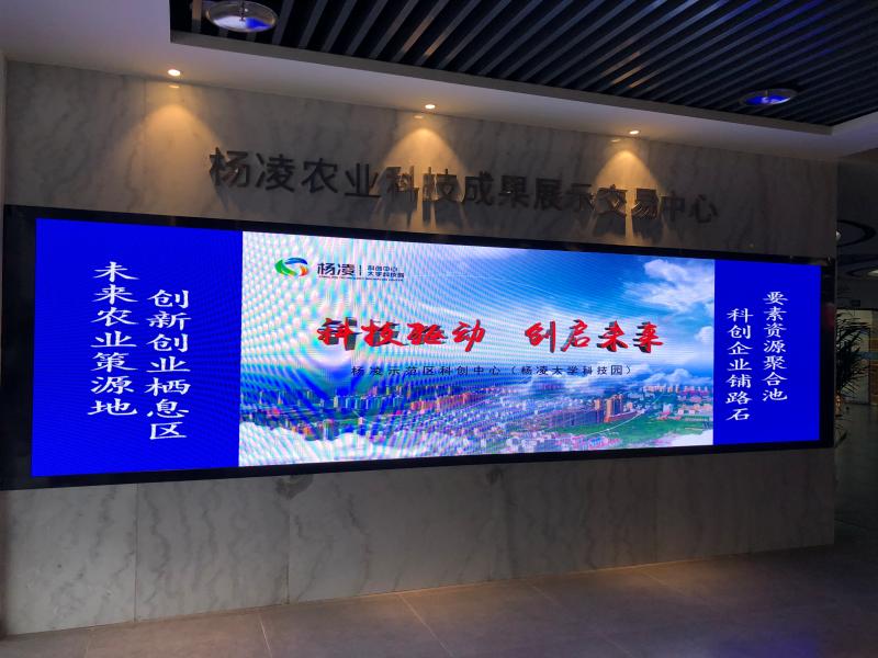 杨凌人才人事网最新招聘信息及其求职步骤指南