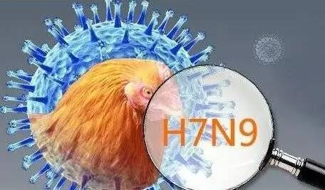 南京H7N9疫情最新动态，全面解析当前形势与防控进展