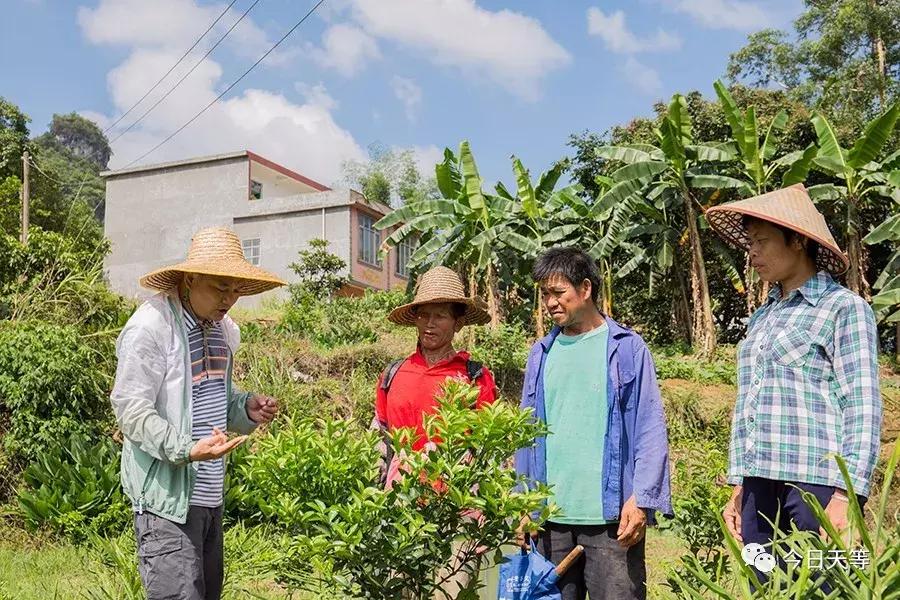 天等至隆安二级公路最新进展报告，最新消息汇总