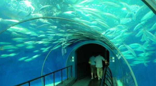 深海水族馆最新版本下载，时代的海洋乐园传奇探索之旅