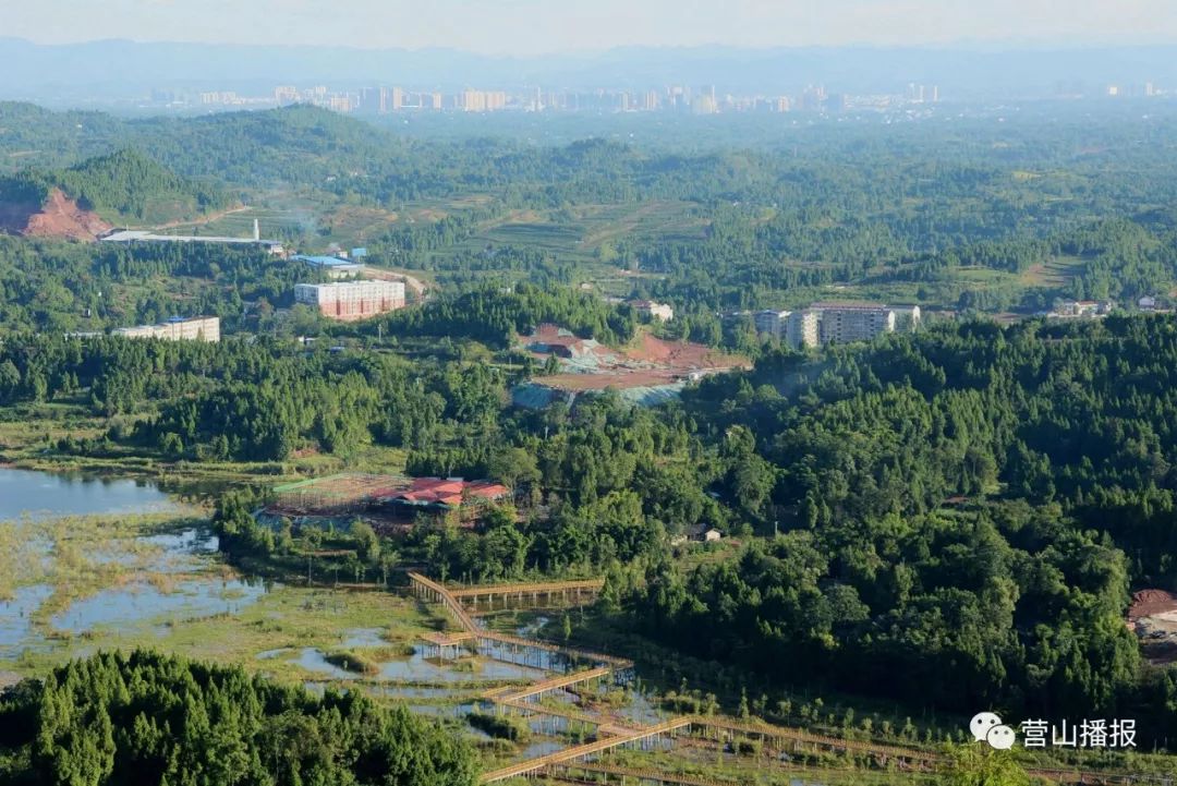 四川省营山县最新动态更新，地方新闻速递