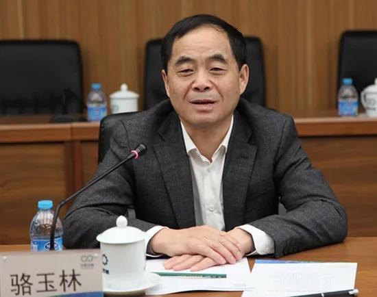 中央领导团队调整解读，新态势下的官员任免与领导团队调整概览