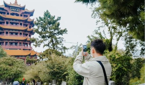玉林最新征婚，寻找内心平静的自然之旅启程