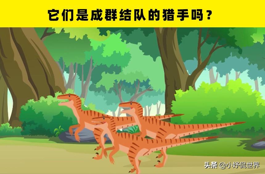 恐龙宝贝最新动态揭秘，探索恐龙世界的奥秘与魅力