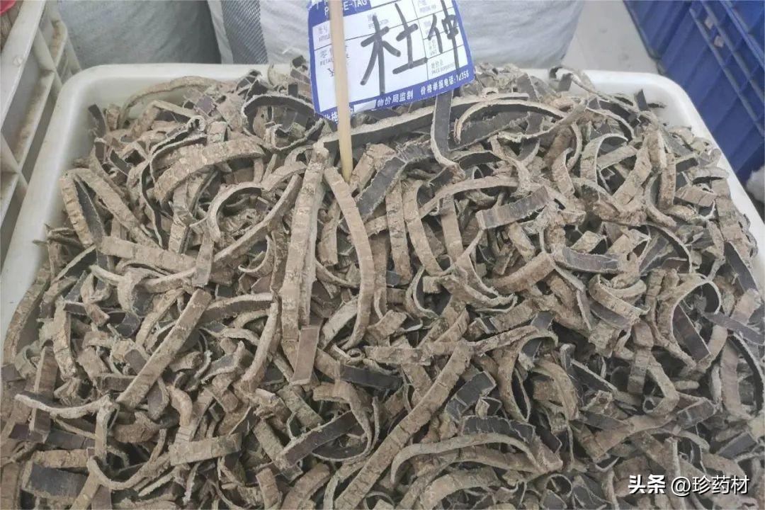 杜仲最新市场行情概览
