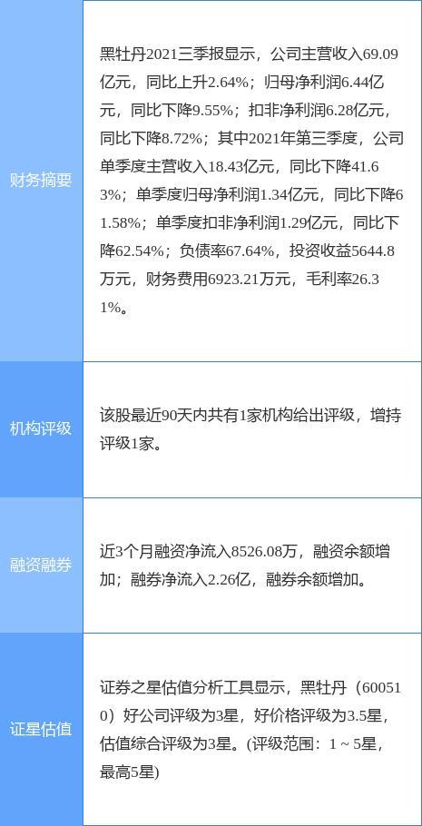 601558最新公告深度解析，掌握最新动态与细节