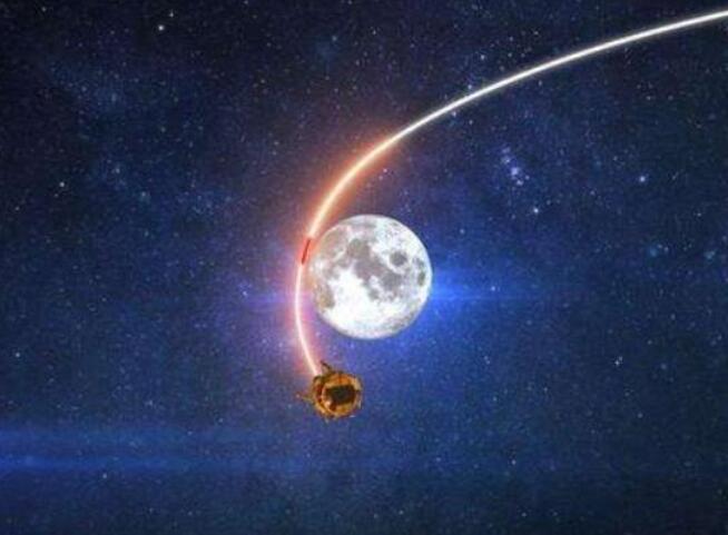 月夜下的玉兔新动态，温馨趣事分享