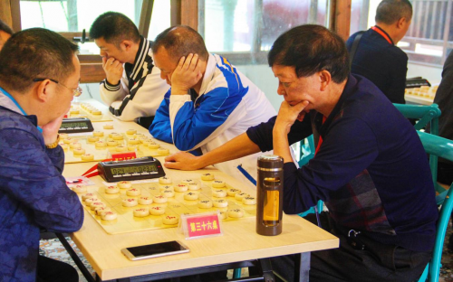 最新象棋大赛,最新象棋大赛，一场自然美景中的心灵之旅