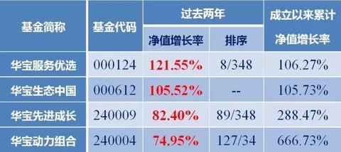 最新900010净值深度解析与观点阐述，洞悉金融动态，把握投资脉搏