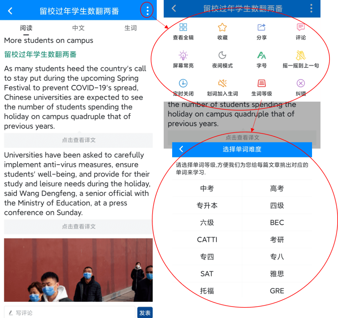 CL最新域名购买与使用指南，从初学者到进阶用户的全方位指南