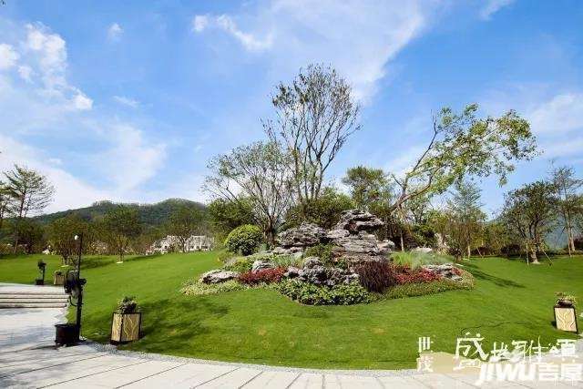 朴树最新动态，与自然美景的邂逅，内心平和之旅揭秘