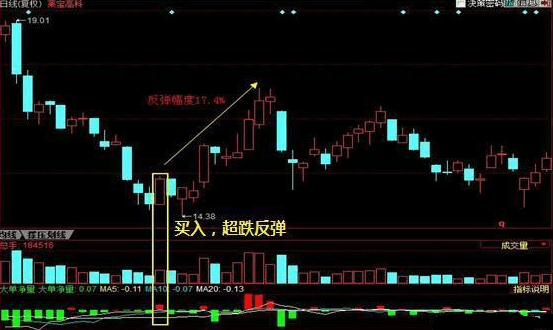 小巷特色小店的股市评级与奇妙故事探索