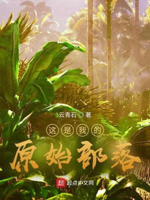 石章鱼最新小说，自然美景之旅，探寻内心平和的乐园