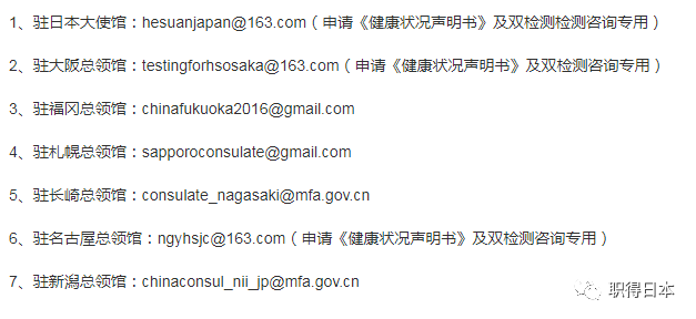 最新回国双阴证明解读，要点与注意事项全解析