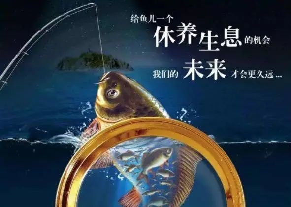 最新捕鱼新政策，推动海洋渔业向可持续未来迈进
