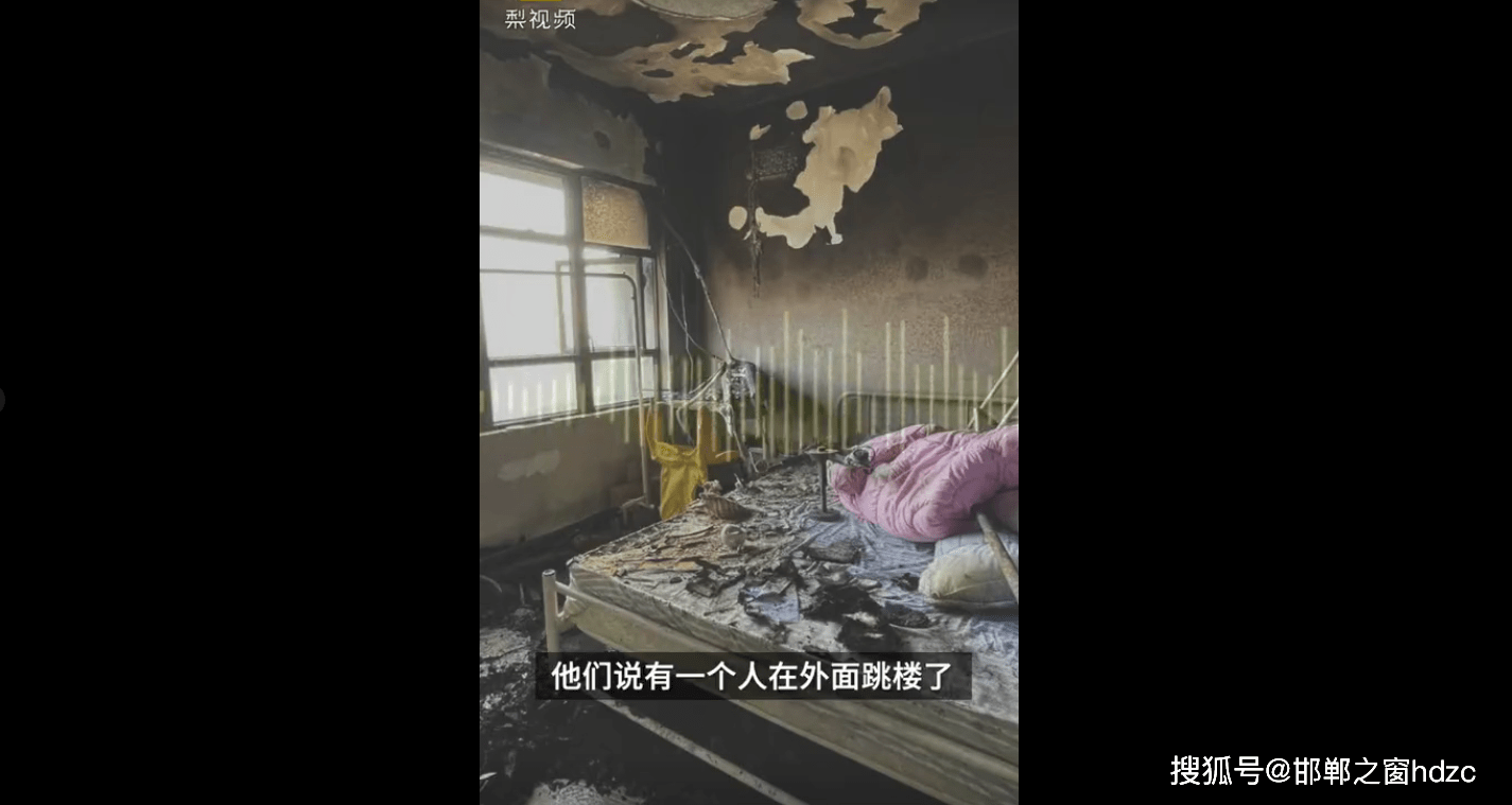 蛋壳公寓最新视频，自然美景之旅，探索内心平静的奥秘