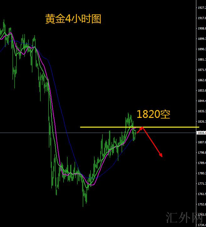 外汇黄金美元最新走势揭秘，小巷深处的黄金秘密分析