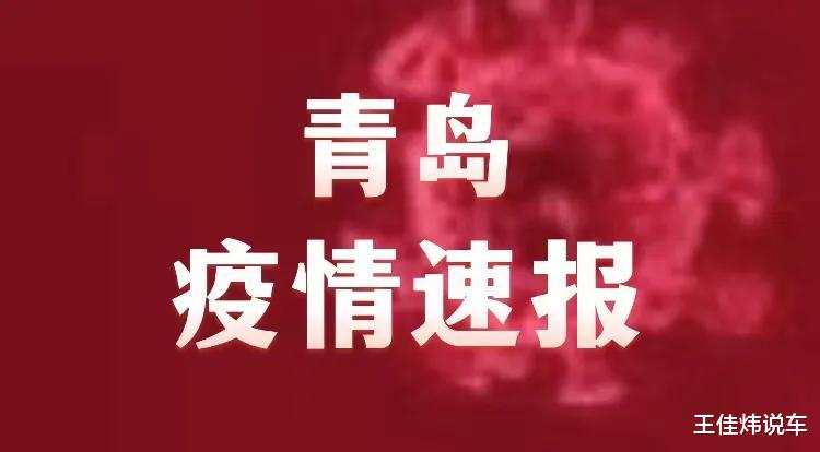 山东青岛最新疫情发布及其背后的温情故事概述
