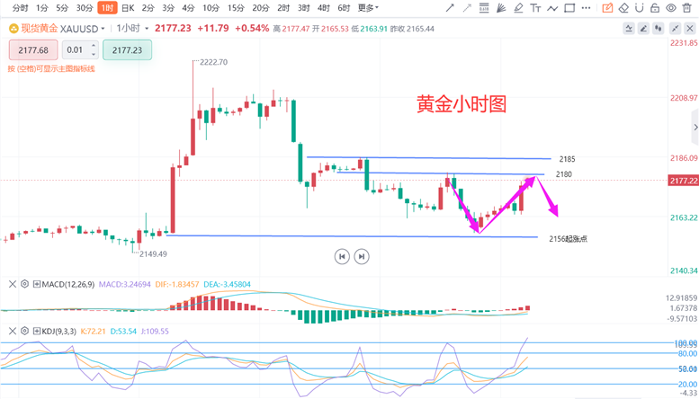 黄金最新走势实时分析，市场动态与趋势预测
