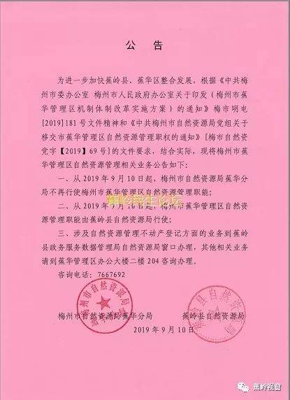 选调生公告最新，心灵与自然的奇妙旅程启幕