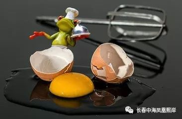 蛋壳最新方案深度探讨与观点阐述