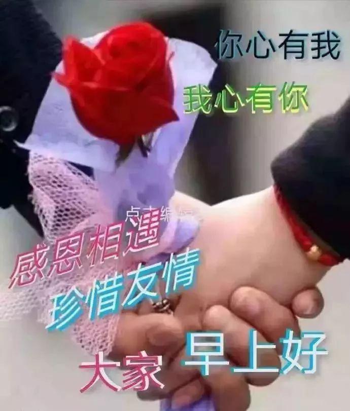 苹果最新款平板，一段温馨的友情之旅