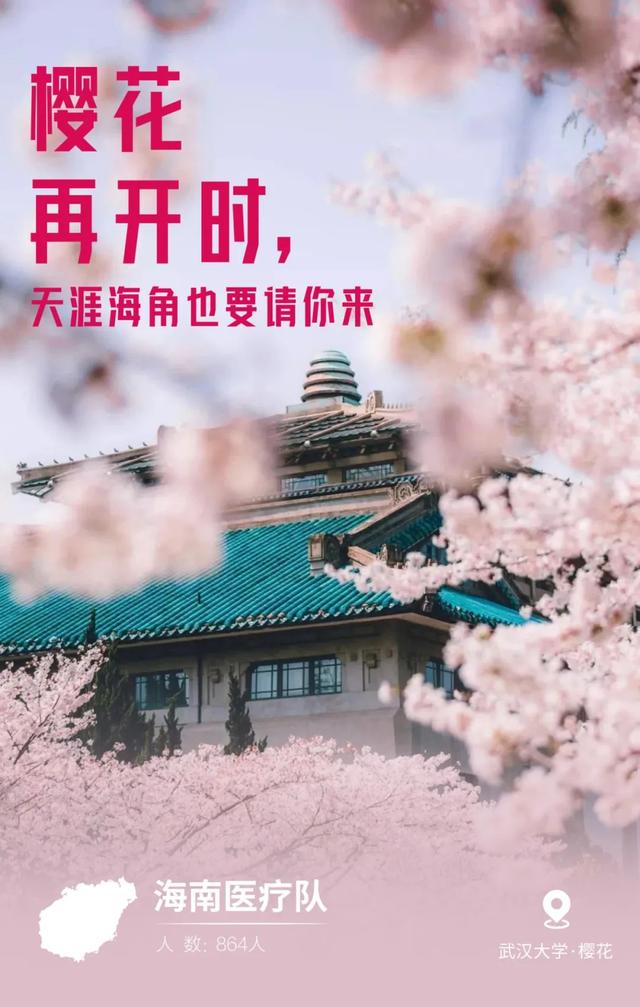 最新肺炎动态与心灵之旅，自然美景中的内心平静探寻