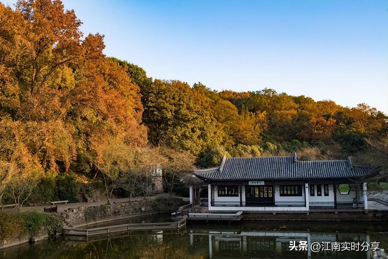 王者荣耀最新内侧皮肤揭秘，小巷中的隐秘宝藏店探秘