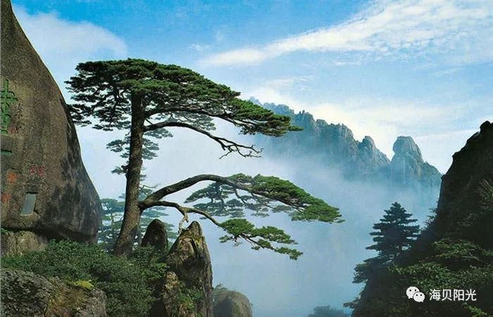 安徽黄山最新动态更新，黄山风景区最新概况