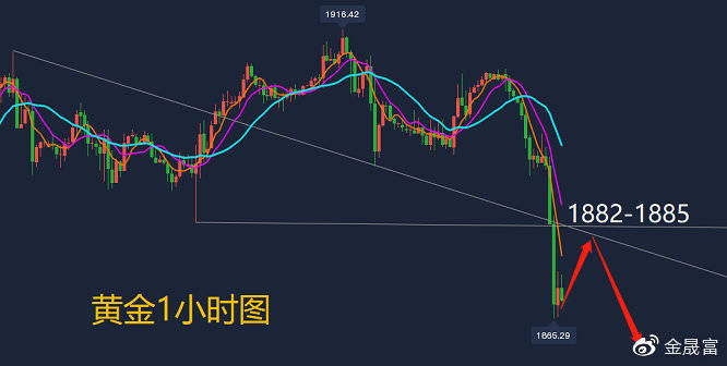 今日黄金趋势最新分析，市场动态与走势预测