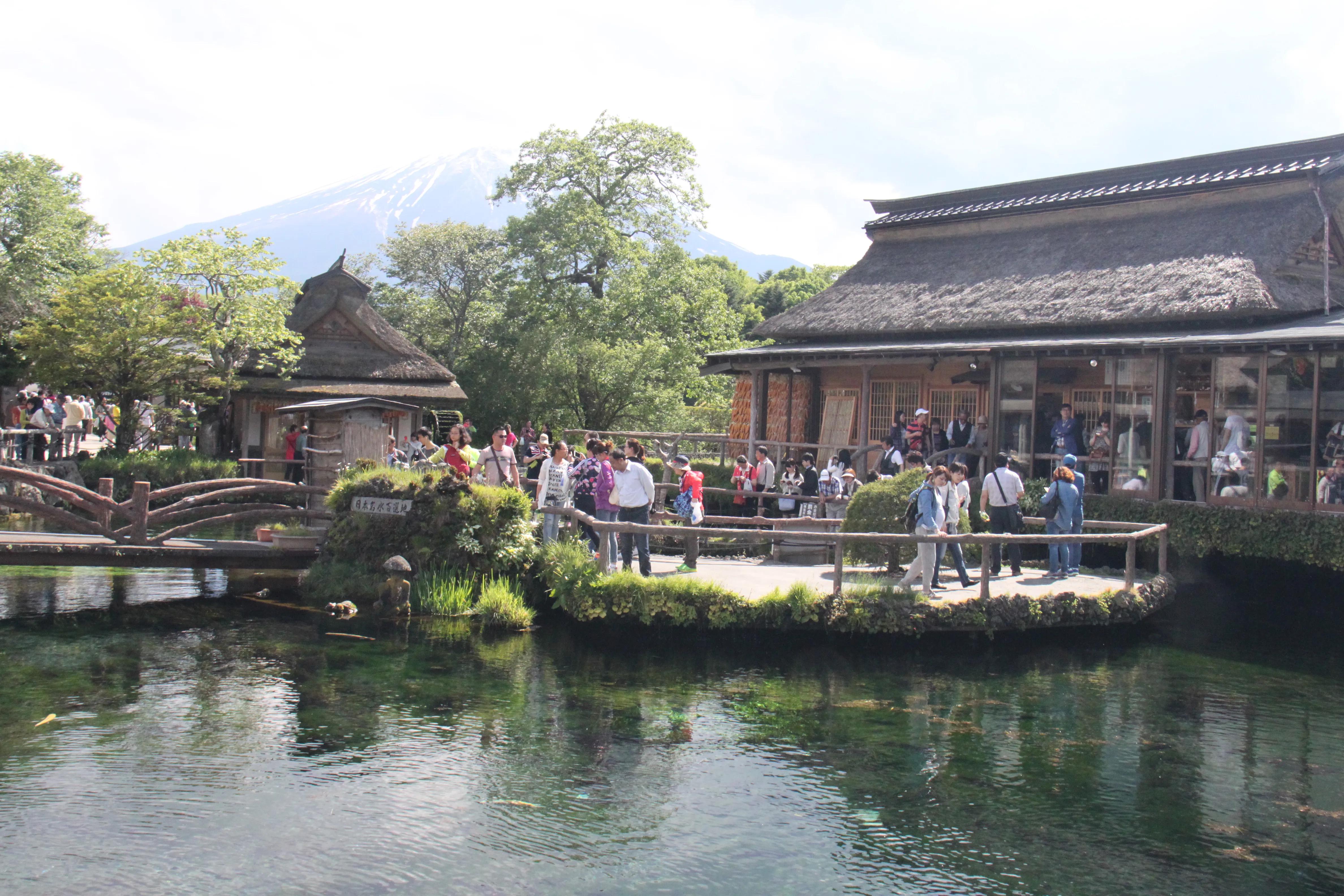 临海最新景点探索，自然美景之旅，追寻内心平和的旅程