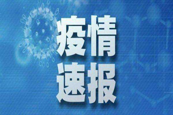 四平最新病例揭秘，背景、进展与影响全解析